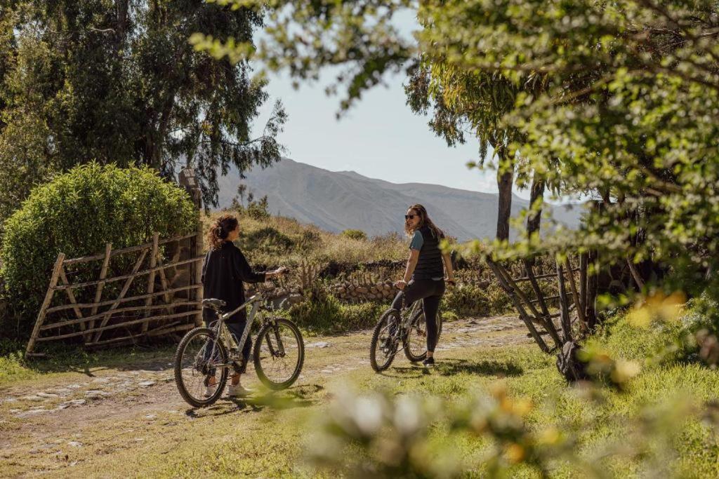 Colca Trek Lodge Best Experience Pinchollo 外观 照片